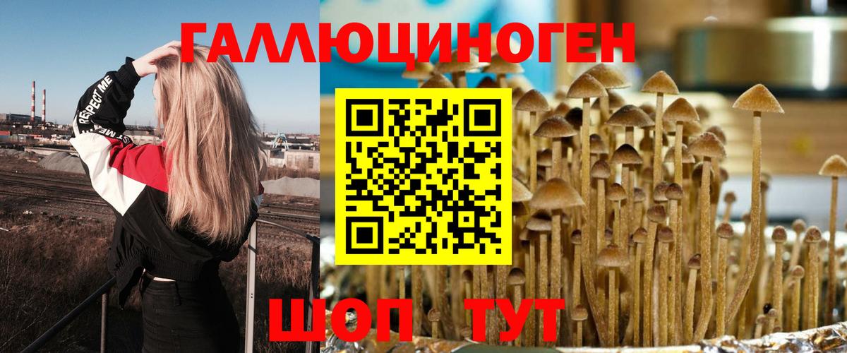 Псилоцибиновые грибы Magic Shrooms  Псилоцибиновые грибы Cubensis  Вход с VPN  Алексин 